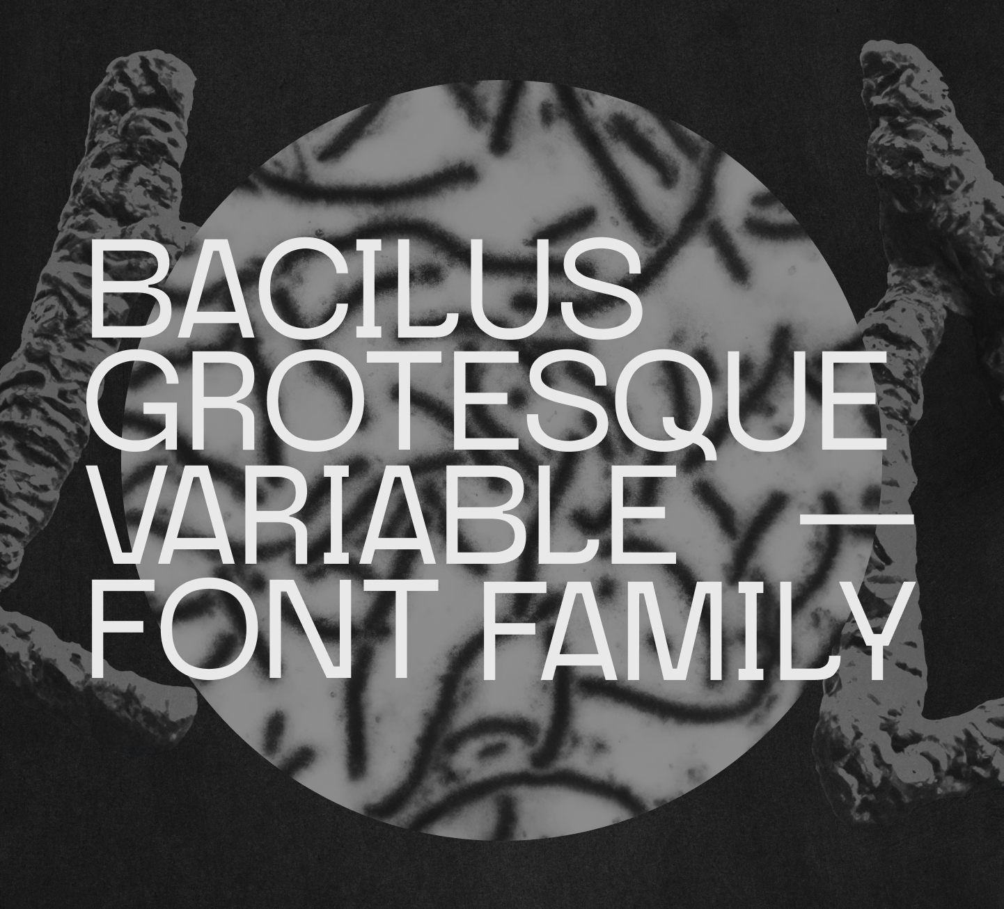 bacilus font cover