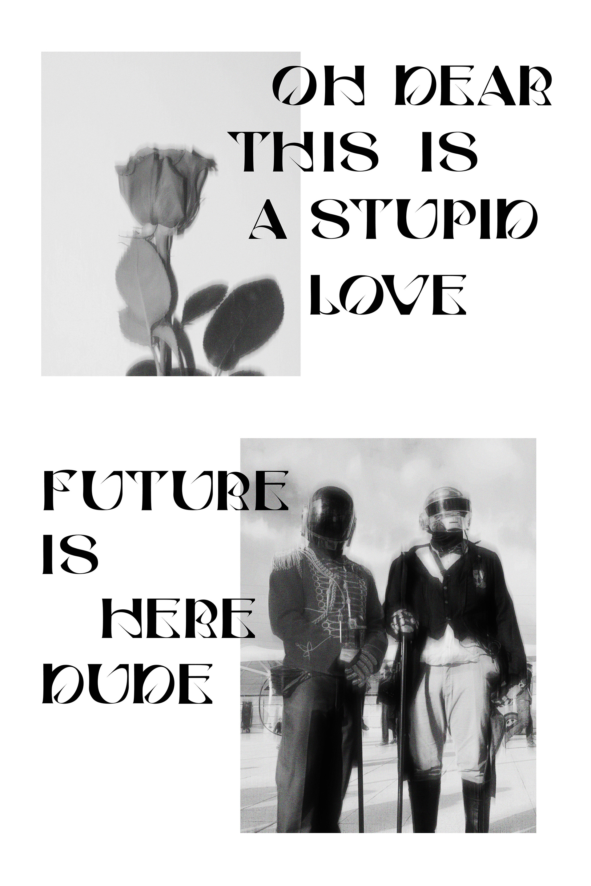 fahny display font
